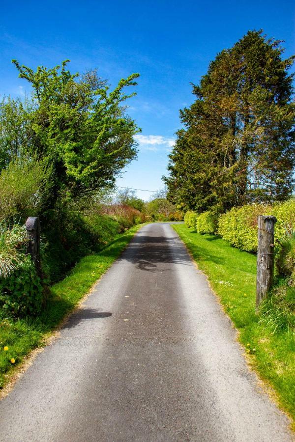 Ty Pren Bach Villa Maenclochog Dış mekan fotoğraf