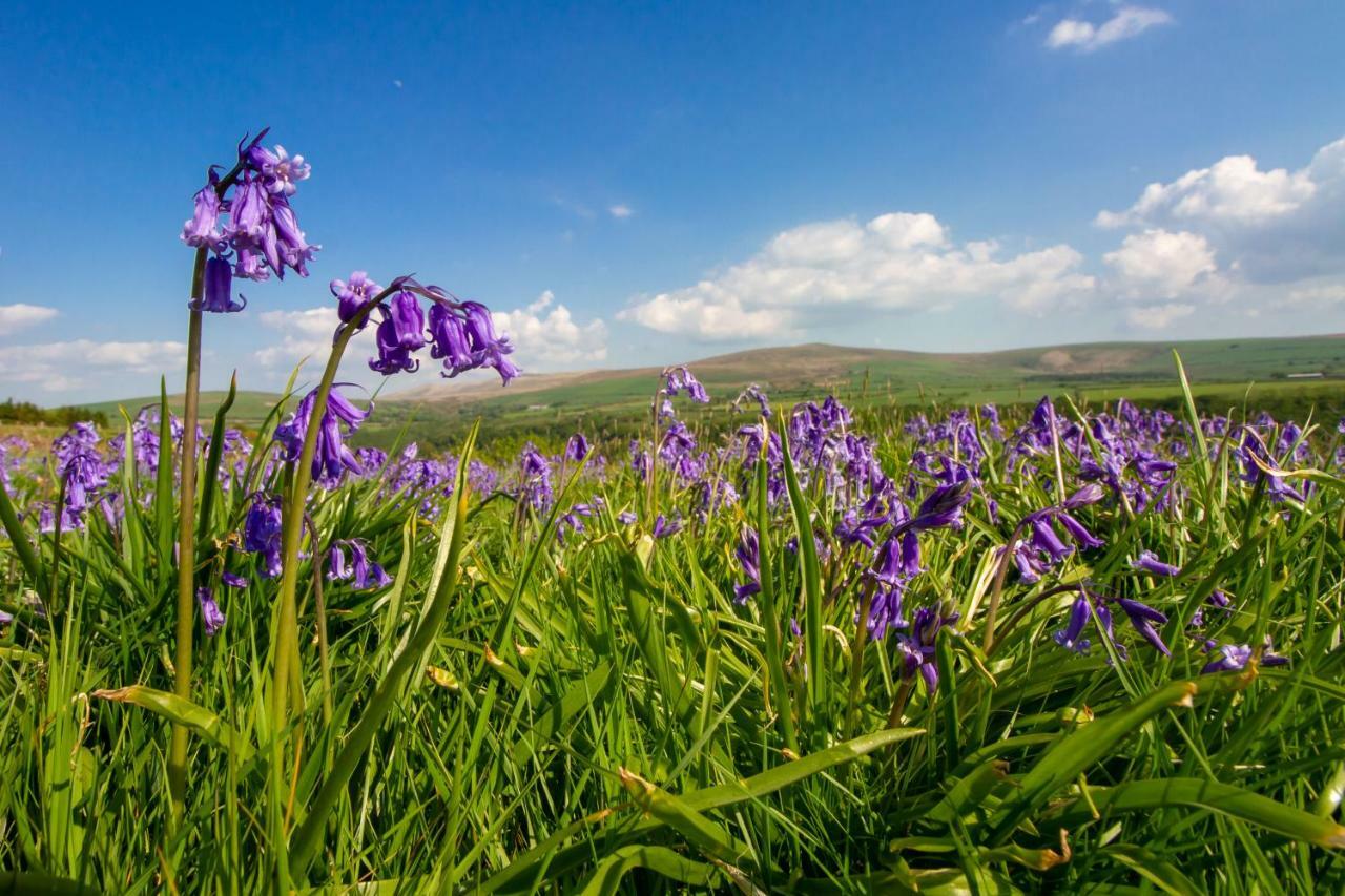 Ty Pren Bach Villa Maenclochog Dış mekan fotoğraf